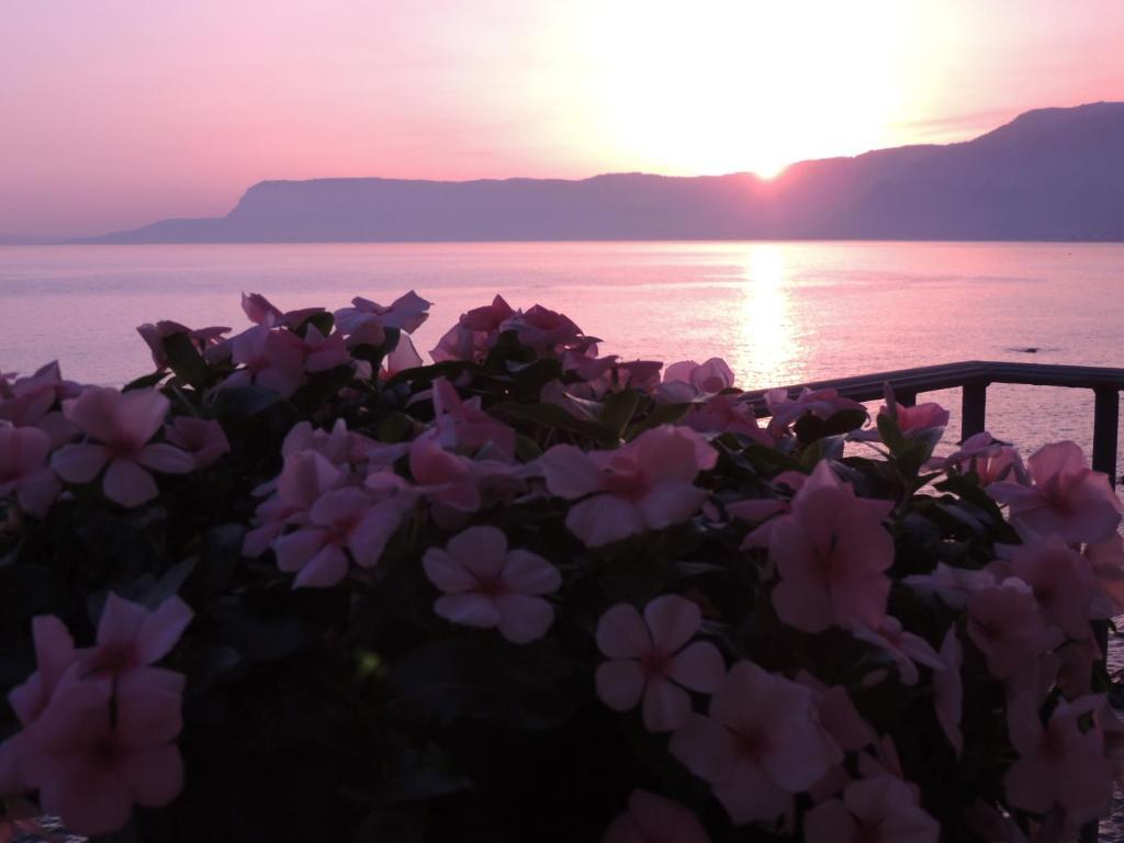 B&B La Veduta Scilla Luaran gambar